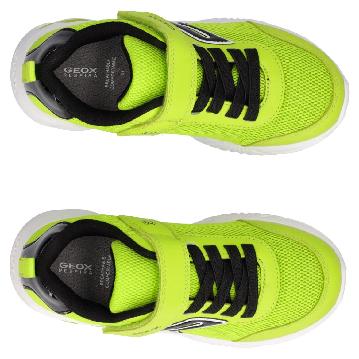 ASSISTER Sneakers Bambino