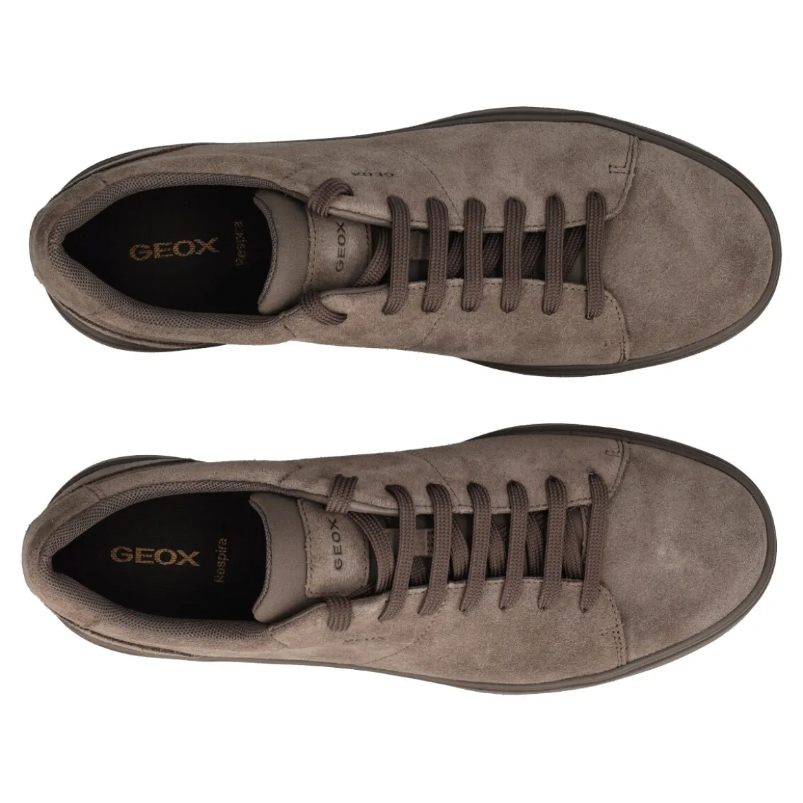BALTMOORE Sneakers Uomo Taupe