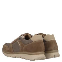 BENTHIC Sneakers Uomo Tortora