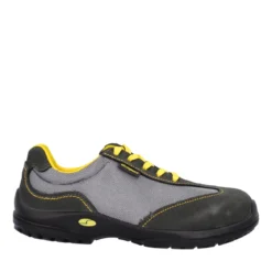 CAPRI S1P SRC