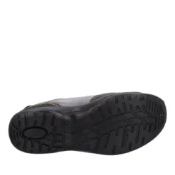 CAPRI S1P SRC