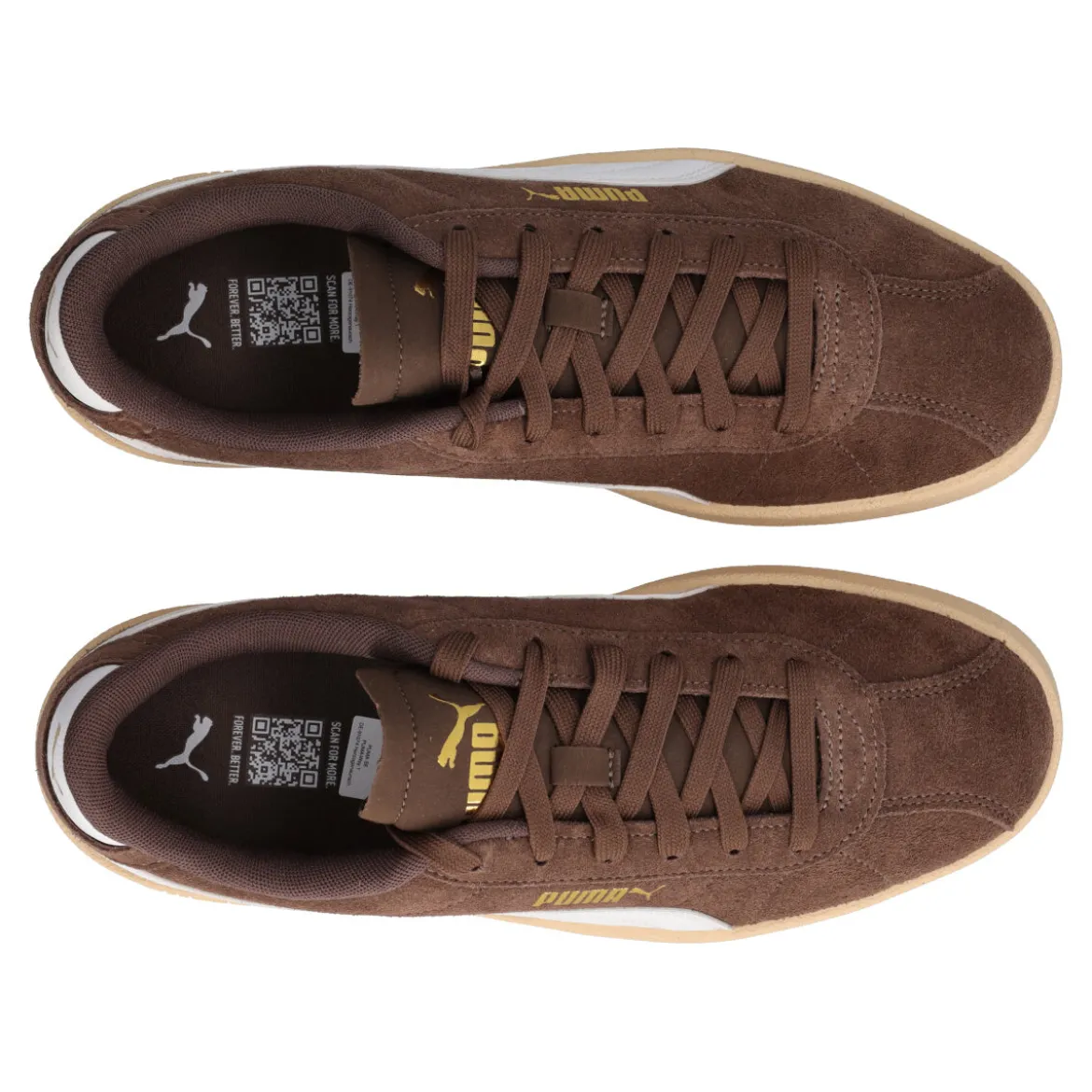 CLUB II Sneakers Uomo Marroni