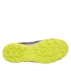 ICEBERG S1P HRO HI SRC