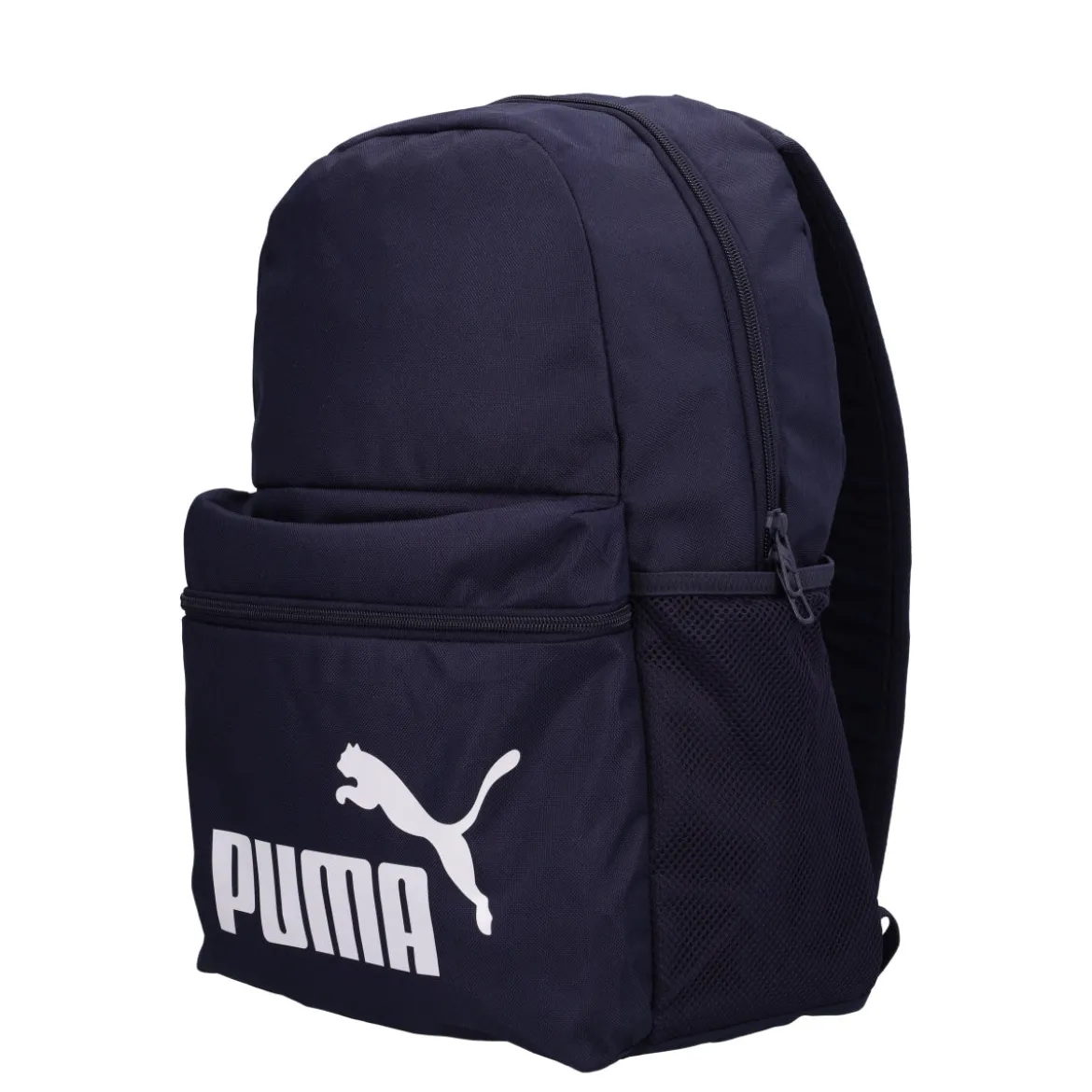 PHASE BACKPACK Zaino Unisex Blu