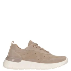 SACE Sneakers Donna Taupe