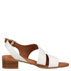 Sandali con Tacco Donna Bianchi