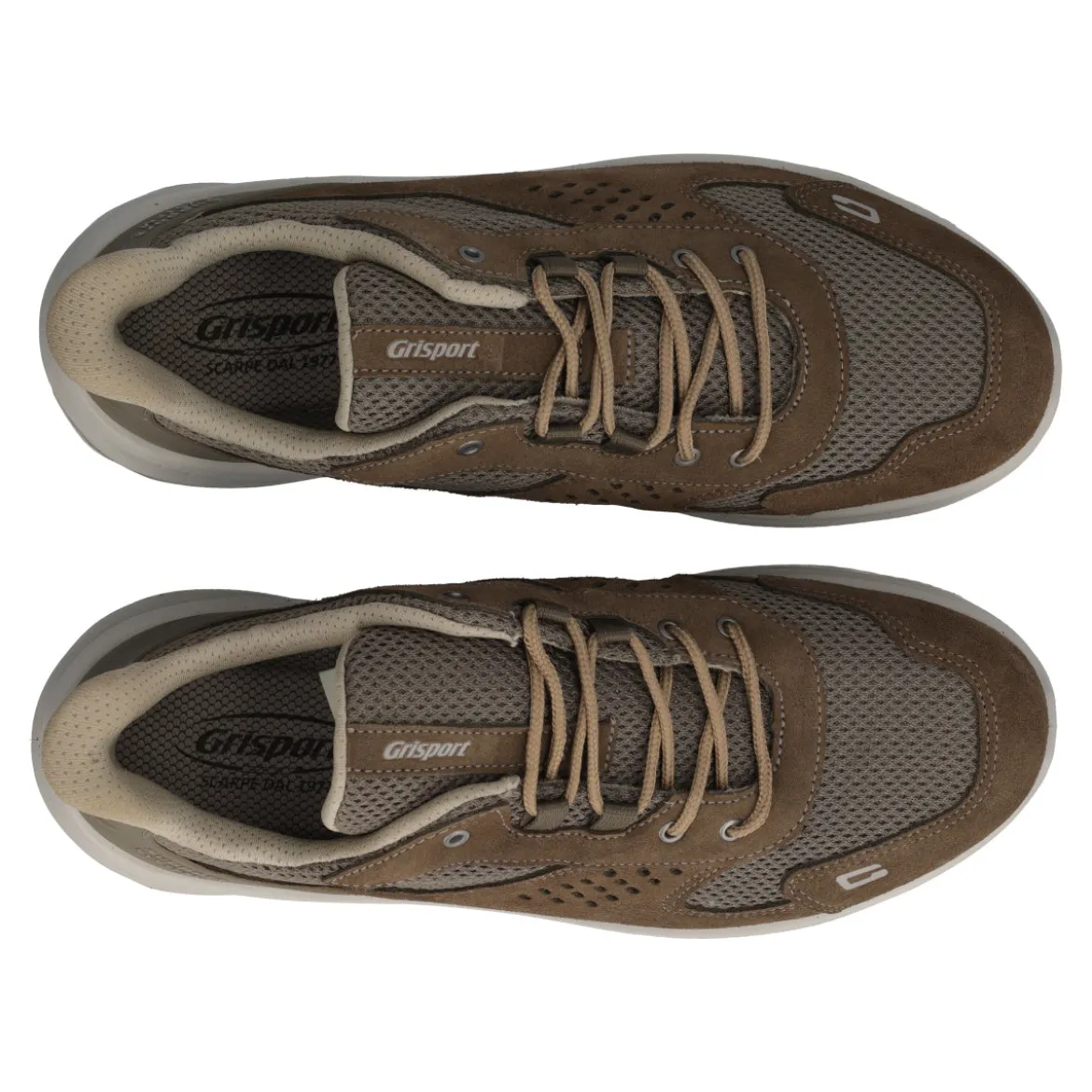 Sneakers Uomo Marroni