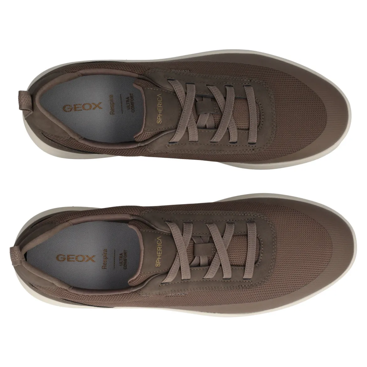 SPHERICA Sneakers Uomo Marrone