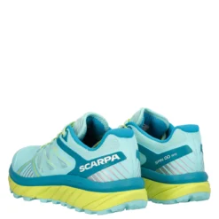 SPIN INFINITY GTX WMN