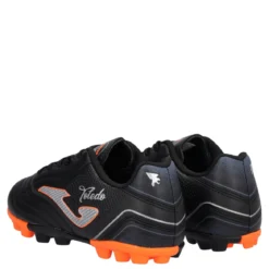 TOLEDO JR 2401