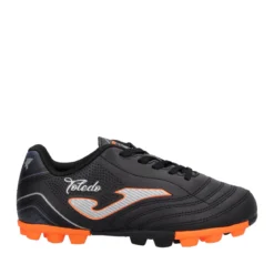 TOLEDO JR 2401