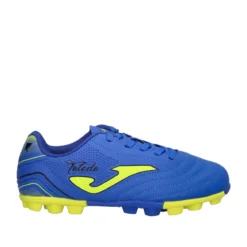 TOLEDO JR 2404